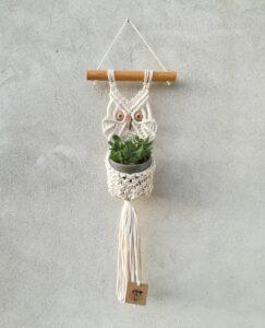 Owl wall hanging and plant hanger